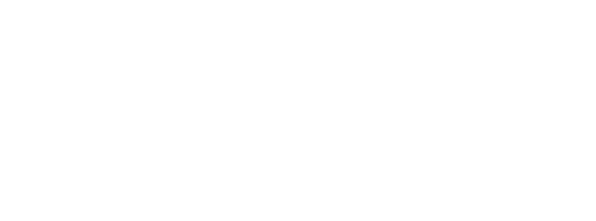 WebCarSolutions